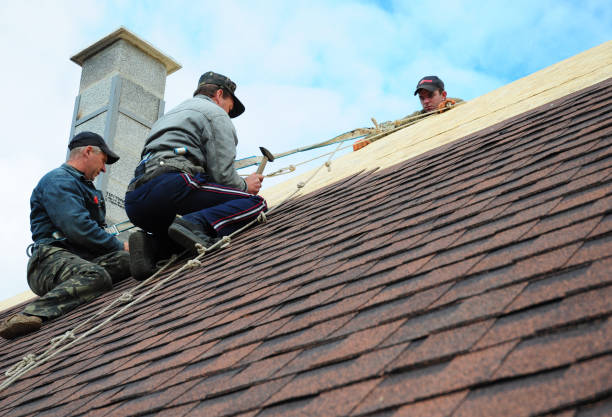 Best Shingle Roofing Installation  in Port Dickinson, NY
